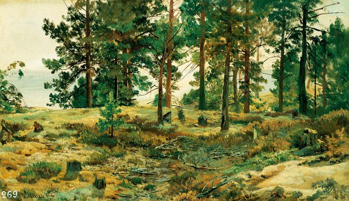 伊凡·伊凡诺维奇·希施金 Ivan I. Shishkin —— Ivan Shishkin-011